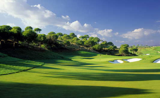 Black Friday + Cyber Monday 2025